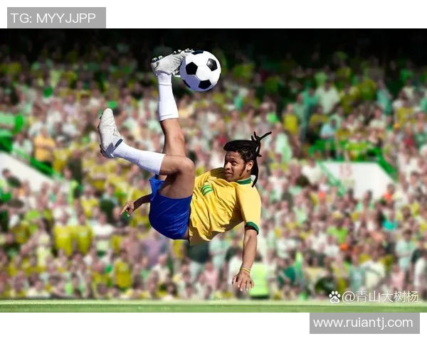 葡萄牙足球明星及其赛场精彩瞬间大集锦